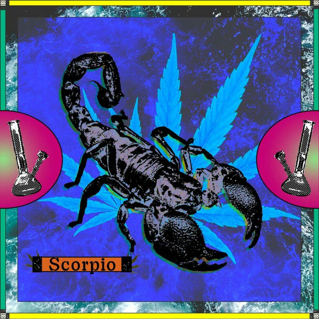 Scorpion and bongs on a blue and pink background with the word "Scorpio"